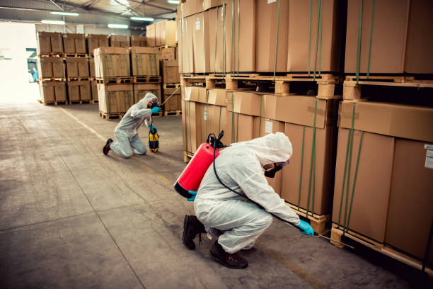Best Ant Control Services  in Huguley, AL