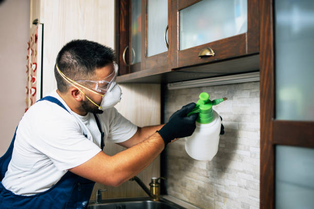 Best Rat Extermination Near Me  in Huguley, AL