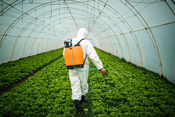 Best Best Pest Control Companies  in Huguley, AL