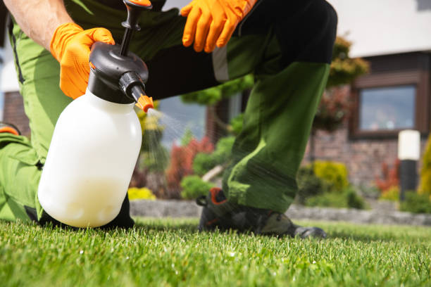 Best Insect Control  in Huguley, AL
