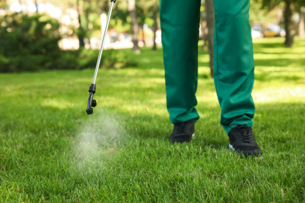 Best Local Pest Control Services  in Huguley, AL