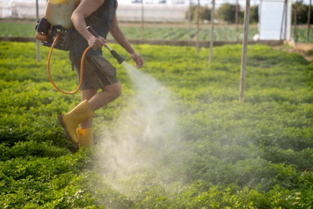 Best Best Pest Control Near Me  in Huguley, AL