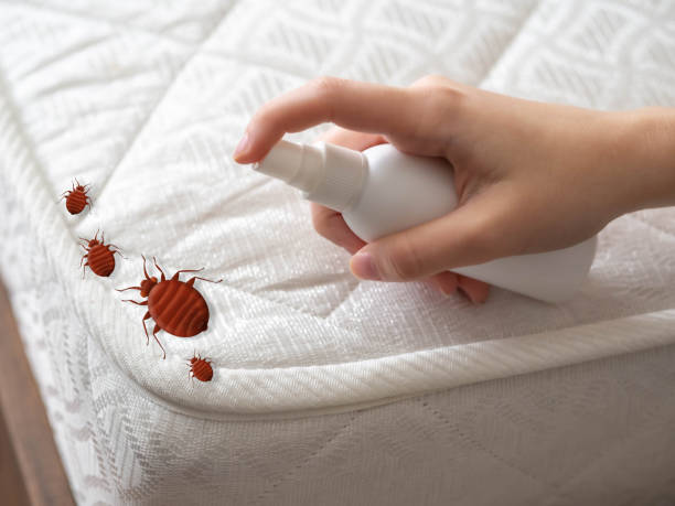 Best Termite Control Services  in Huguley, AL