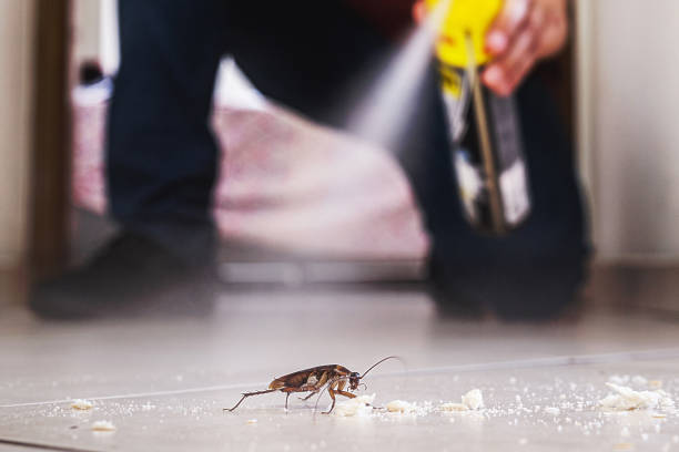 Pest Control Cost in Huguley, AL