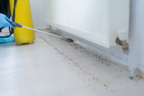 Best Pest Control Near Me in Huguley, AL