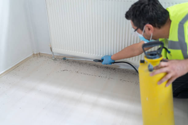 Best Exterminator Services  in Huguley, AL