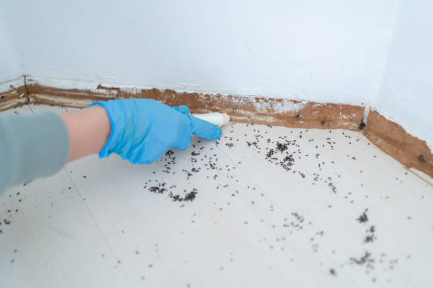 Best Pest Prevention Services  in Huguley, AL