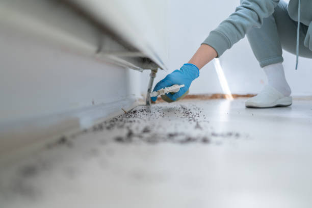 Best Mosquito Control Services  in Huguley, AL