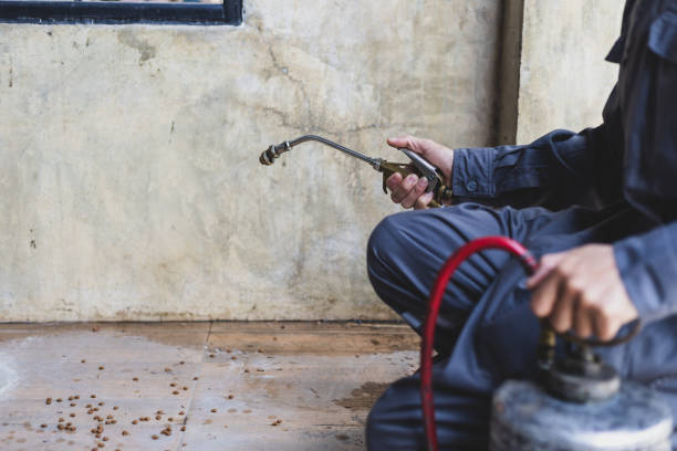 Best Pest Control Near Me  in Huguley, AL